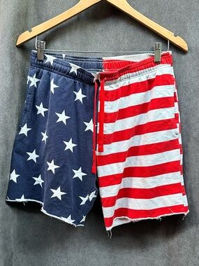 American flag patriotic sweat shorts bioworld men’s medium